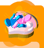 ɲʽ